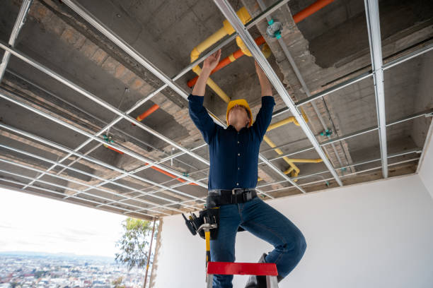 Best Plumbing Inspection Services  in Mazomanie, WI