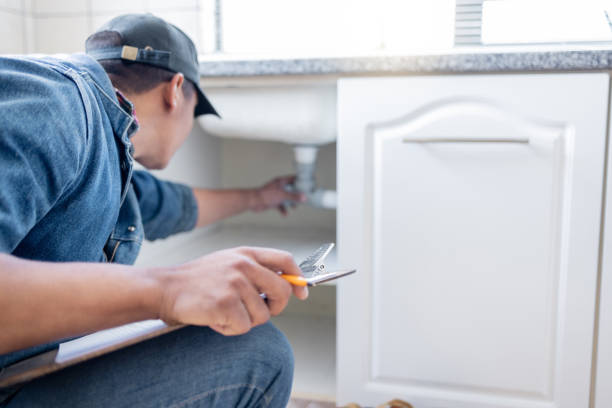 Best Clogged Drain Plumber  in Mazomanie, WI
