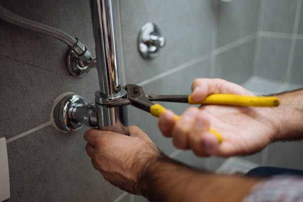 Best Plumbing Inspection Services  in Mazomanie, WI
